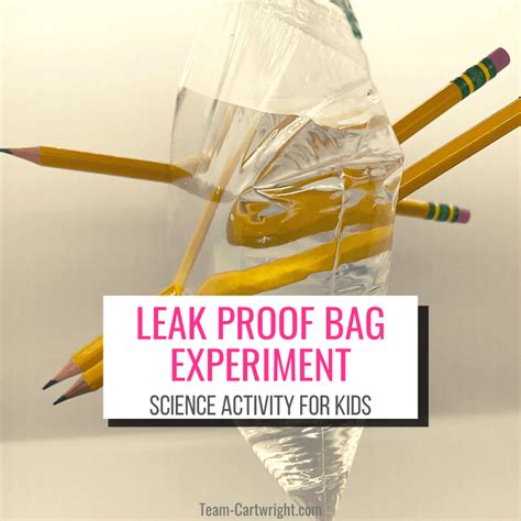 leak proof bag experiment|Leak Proof Bag: Quick Science Experiment for Kids